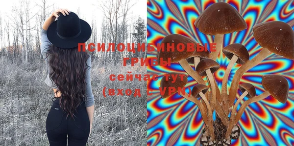 таблы Беломорск